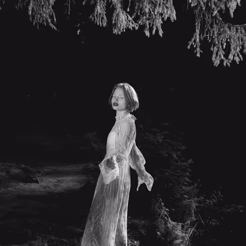 MYSTERIOUS FOREST V2