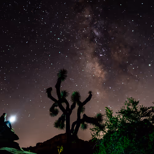 Thoughts in the stars