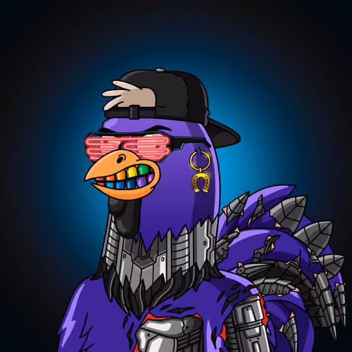 Mr. RoCocko
