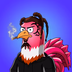 Unnamed Rooster