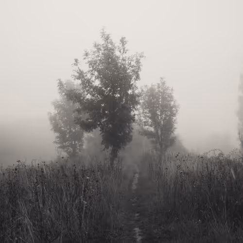 Peace And Quiet 2