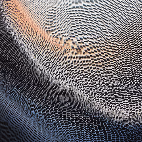 Anomaly Ai