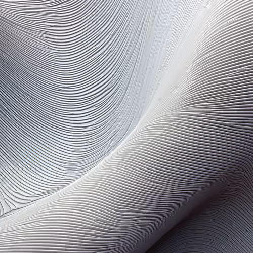 Anomaly Ai