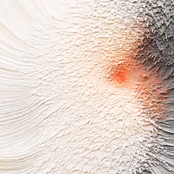 Anomaly AI 344 #1/10