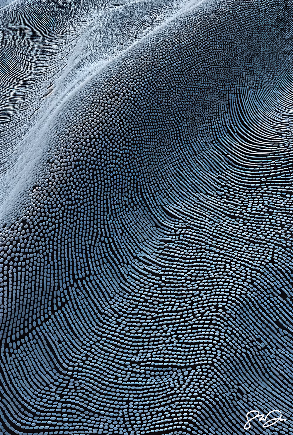 Anomaly AI 091 #4/10