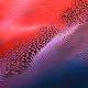 1206