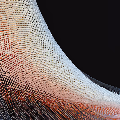 Anomaly Ai