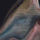 2583