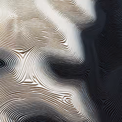 Anomaly AI 338 #2/10