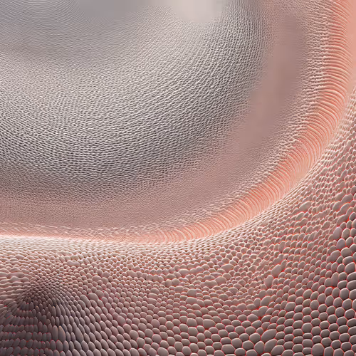 Anomaly Ai