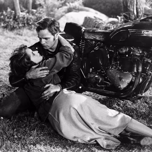 The Wild One #4