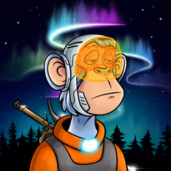 Apes In Space #2003