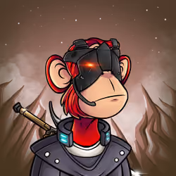 Apes In Space #4554