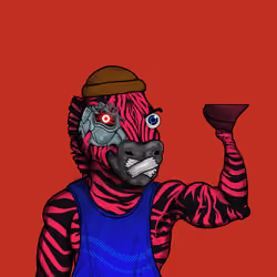 Zebra