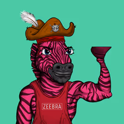 Zebra