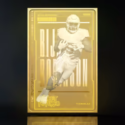 Bijan Robinson Rare #63/100