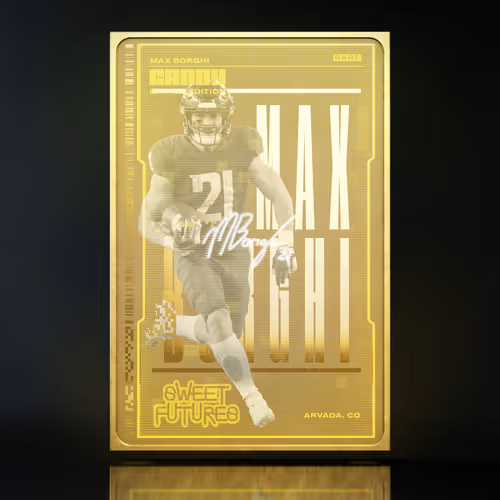 Item #303052290073694285575810110299671250069 Media