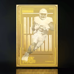 Bijan Robinson Rare #45/100