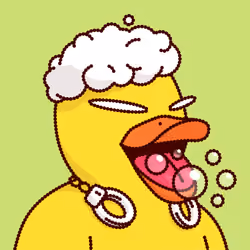 Duck #4706