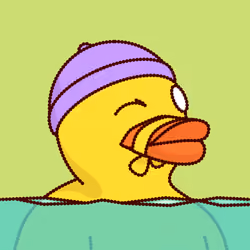 Duck #7933