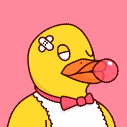 Duck #7894