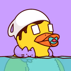 Duck #8763