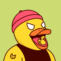 Duck #5567