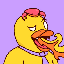 Duck #4505