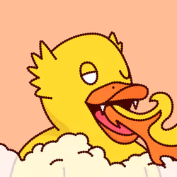 Duck #2078