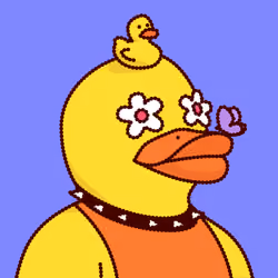 Duck #5582