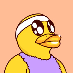 Duck #336