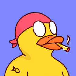 Duck #1773