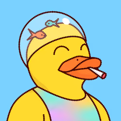 Duck #2997