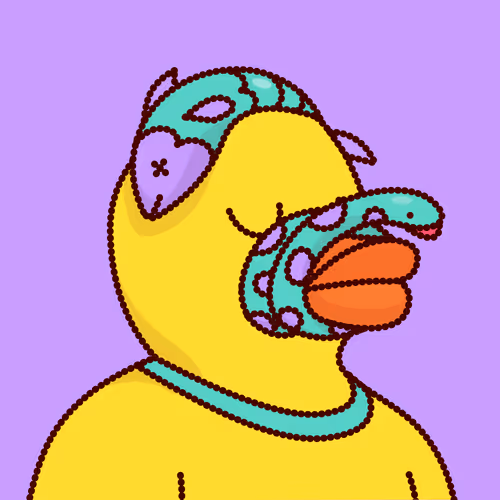 Duck #8554