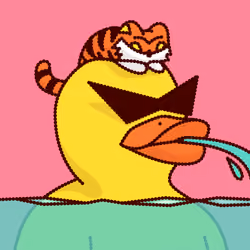 Duck #8070