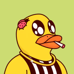 Duck #7031