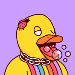 Duck #8802