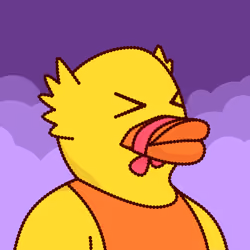 Duck #764