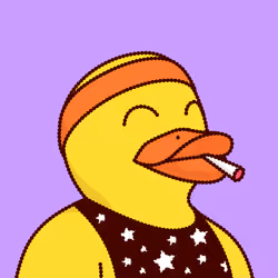 Duck #1304