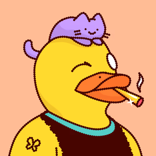 Duck #4894