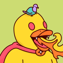 Duck #6807