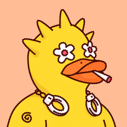 Duck #2763