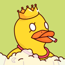 Duck #5784