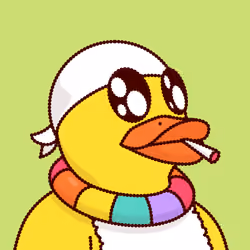 Duck #8942