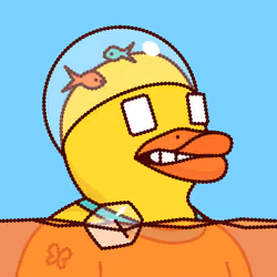 Duck #6242