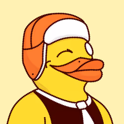 Duck #6282