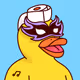 Duck #8257