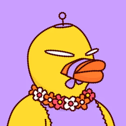 Duck #5833