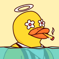 Duck #3009