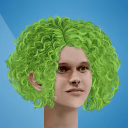4558